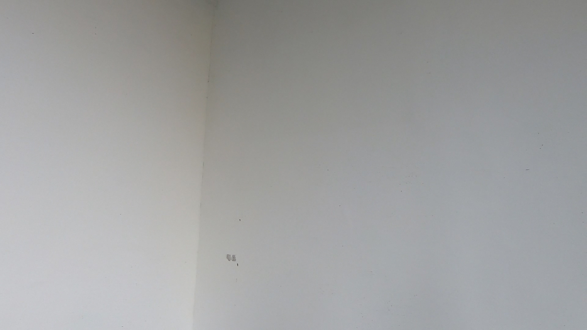 久久久91精品国产免费观看