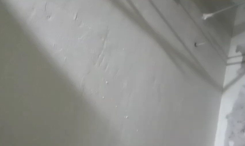 久久久91精品国产免费观看