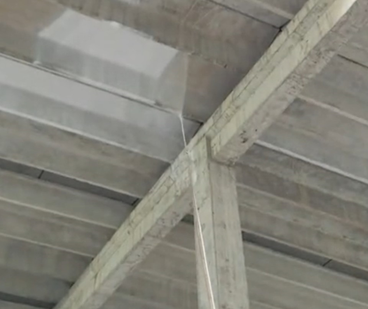 久久久91精品国产免费观看